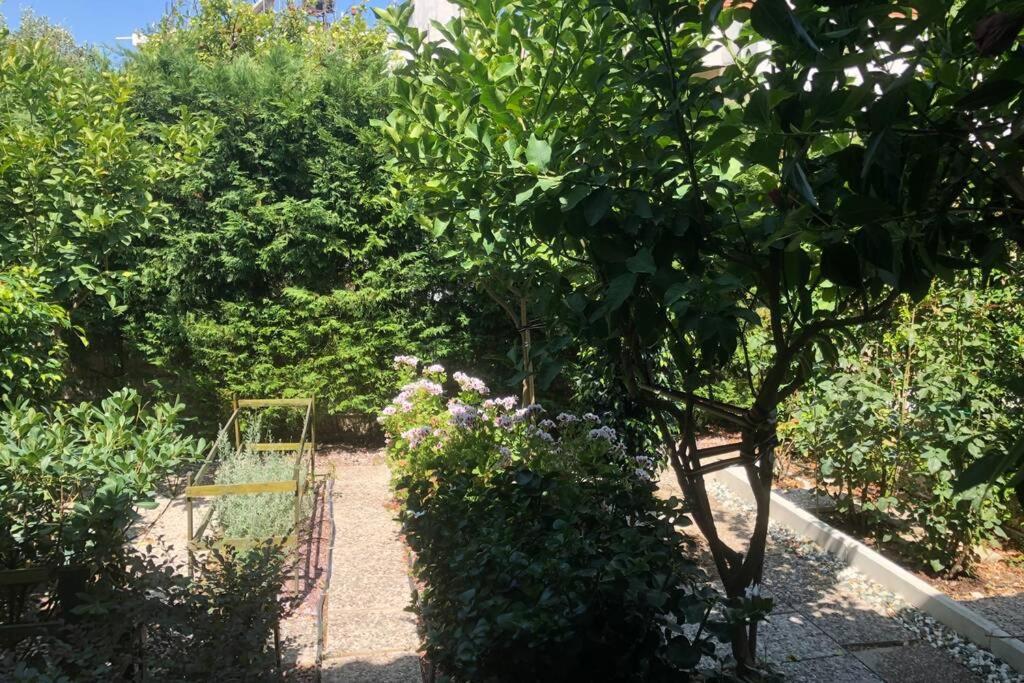 Вілла Ανακαινισμενη Μονοκατοικια 125 Τμ Στο Κεντρο Με Κηπο Missolonghi Екстер'єр фото